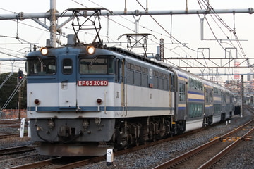 JR貨物 新鶴見機関区 EF65 2060
