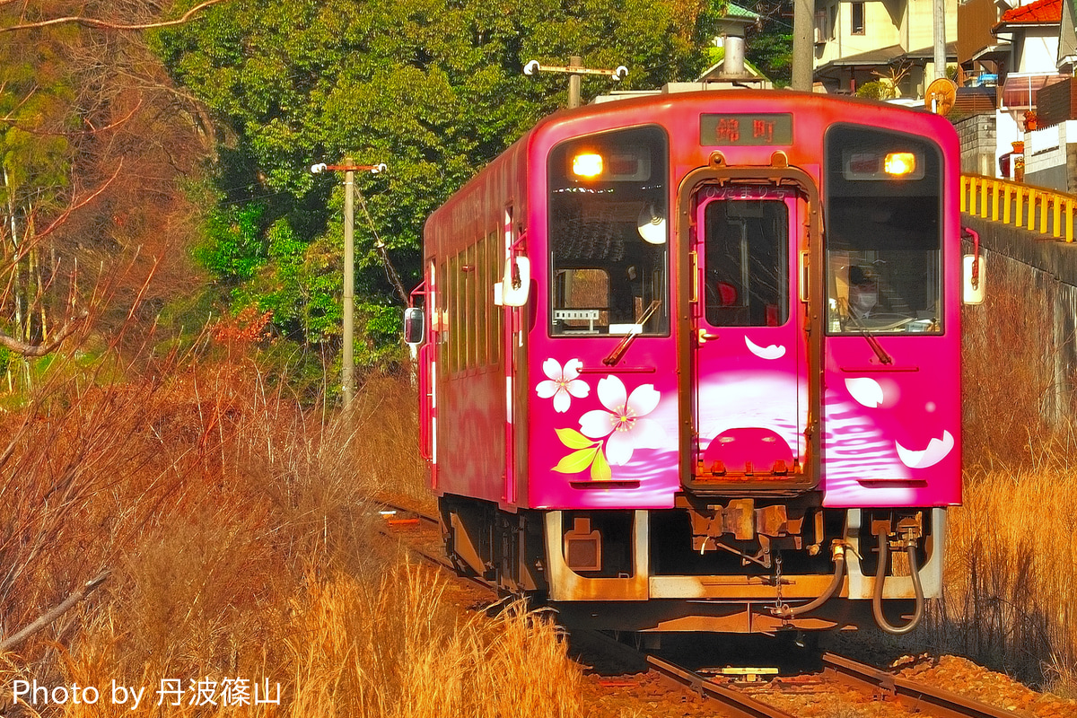 錦川鉄道 錦町車庫 NT3000形 3002