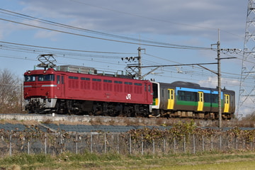 JR東日本 新潟車両センター EF81 EF81-141