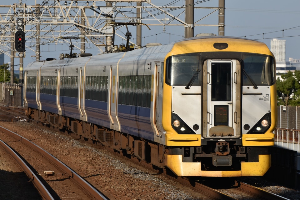JR東E257系マリNB-19編成<br class="br-sp" />(NB-19編成)(マリNB-19)の写真