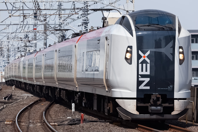 E259系クラNe021編成を市川駅で撮影した写真