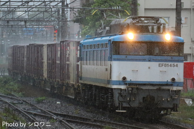 門司機関区 EF81 454 の写真 |鉄道写真投稿サイトTrain-Directory