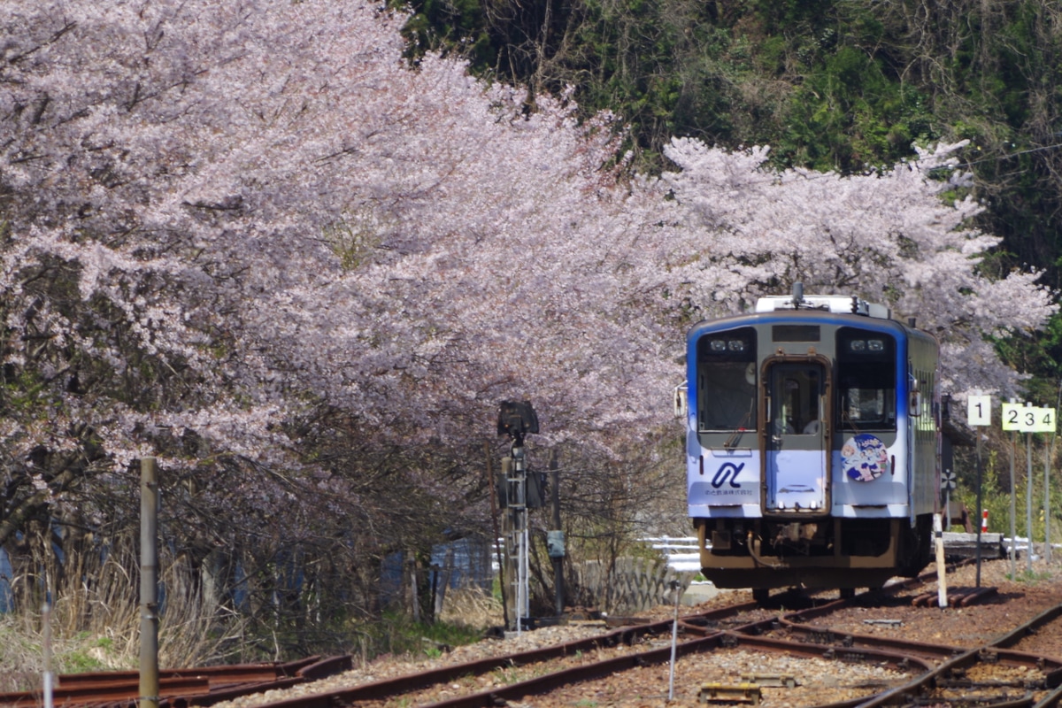 のと鉄道 穴水運輸区 NT200形 NT204