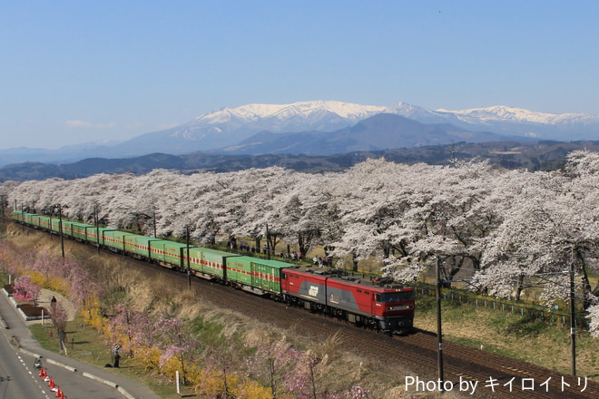 仙台総合鉄道部EH50044を不明で撮影した写真