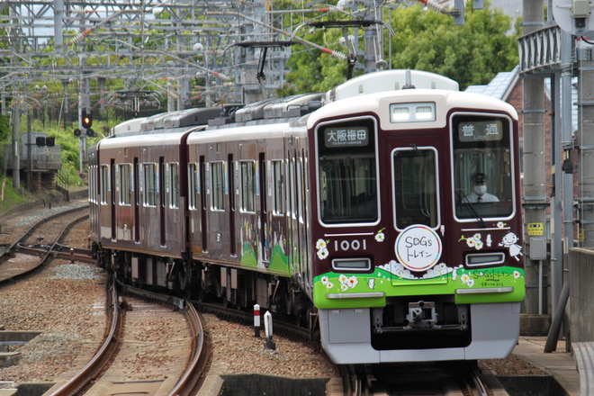 平井車庫 1000系 1001F の写真 |鉄道写真投稿サイトTrain-Directory