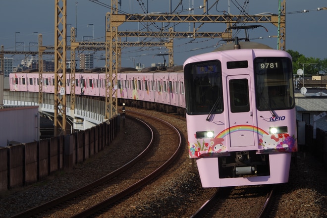 9000系9731編成を京王稲田堤駅で撮影した写真
