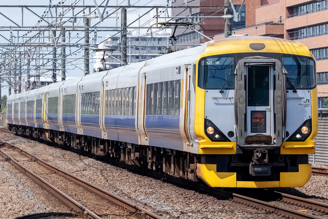 E257系マリNB-16編成を新浦安駅で撮影した写真