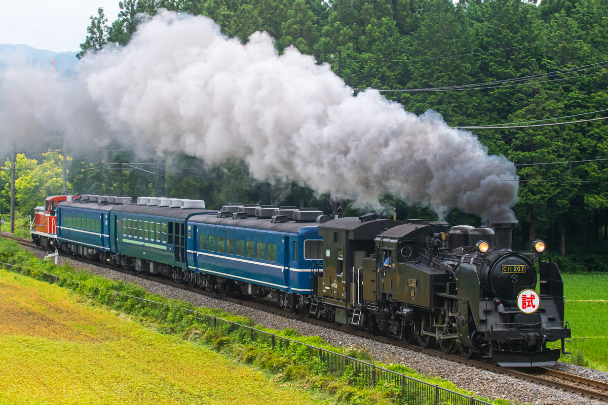 東武鉄道 下今市機関区 C11 207