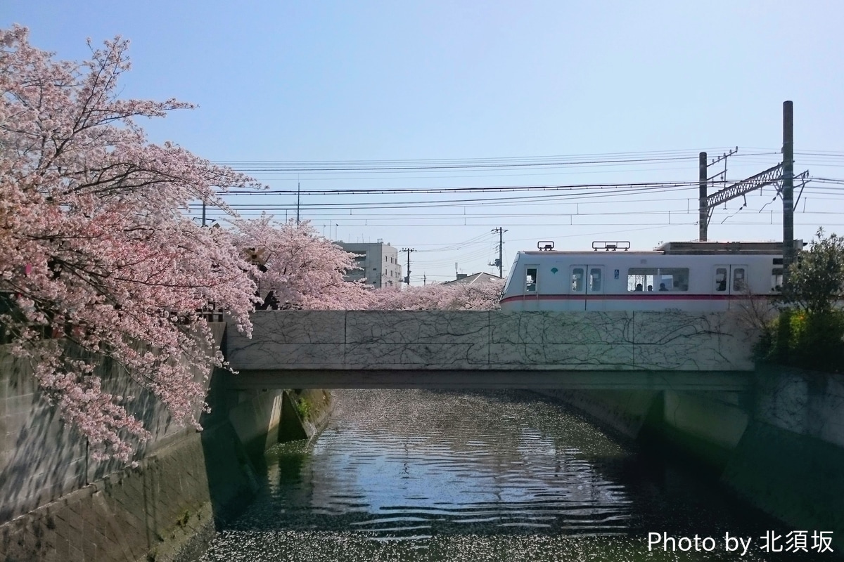 東京都交通局 馬込車両検修場 5300形 5303F