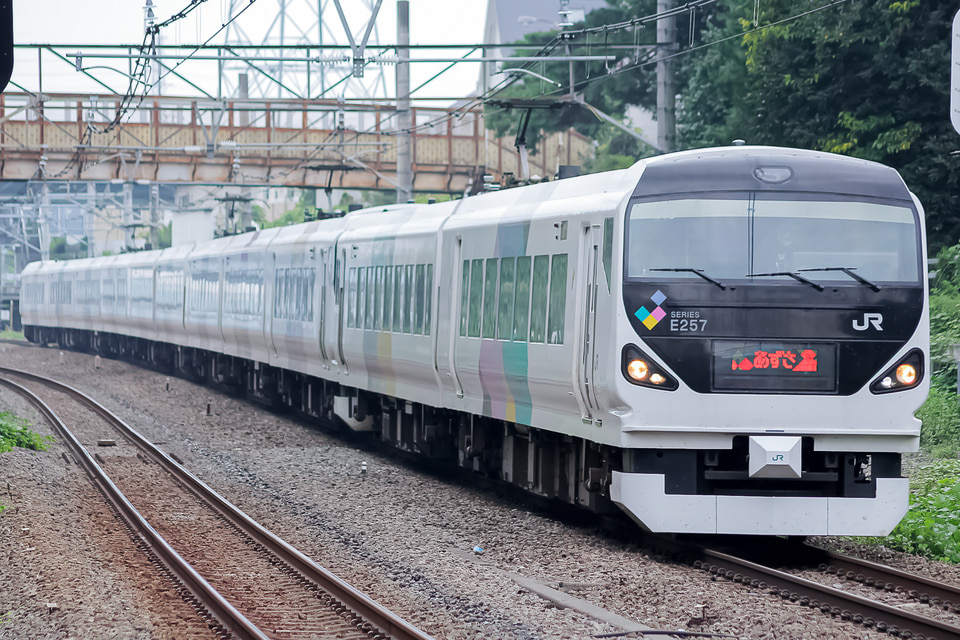 JR東E257系モトM-203編成<br class="br-sp" />(モトM-203)の写真