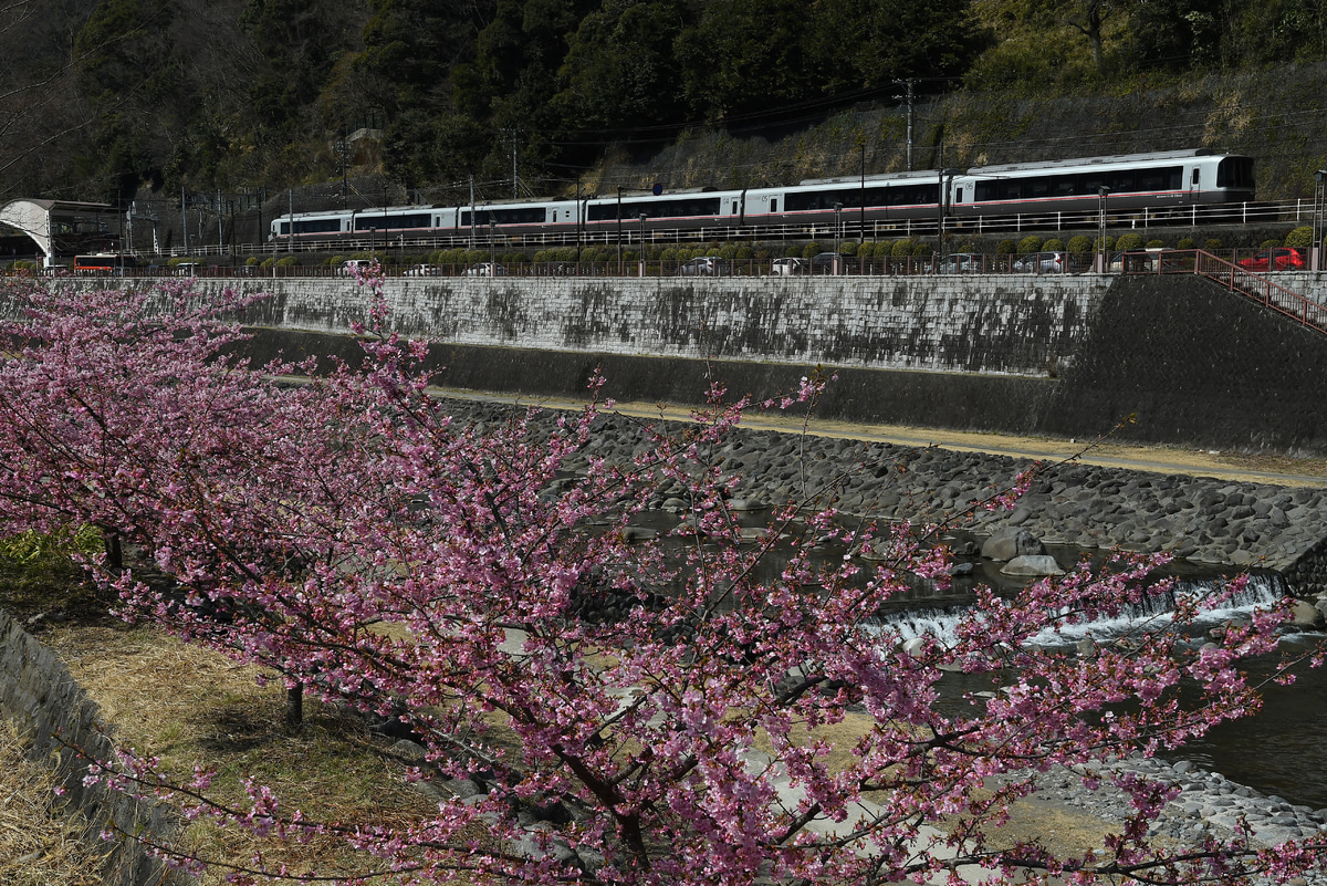 小田急電鉄 海老名検車区 30000形 