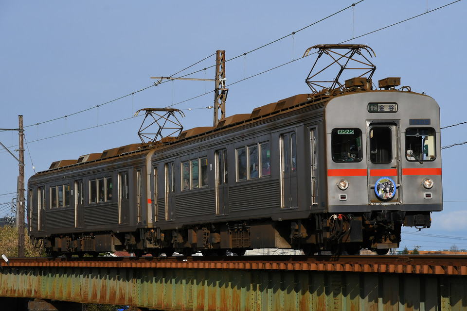 ゆるキャンヘッドマーク