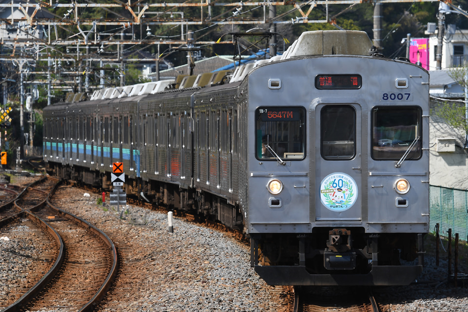 帯なし。 伊豆急開業60周年ヘッドマーク