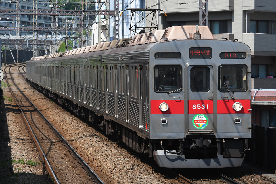 東急8500系8631F<br class="br-sp" />(8631編成)の写真