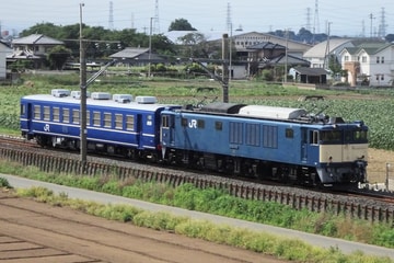 JR東日本 高崎機関区 EF64 1053