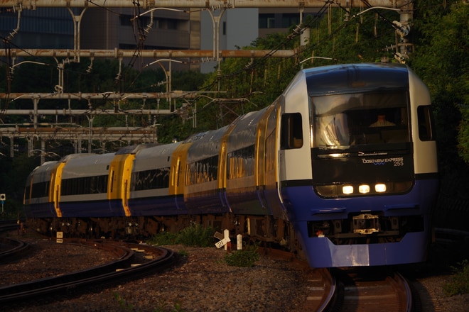 激レア★千マリ 幕張電車区 所属電略表記プレート 幕張車両センター 激レア☆千マリ 幕張電車区 所属電略表記プレート 幕張車両