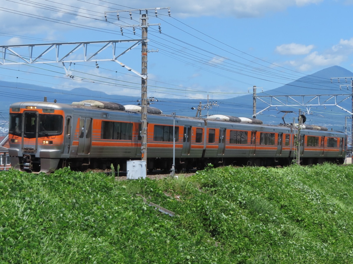 JR東海 神領車両区 313系 