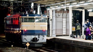 JR東日本  EF65形 501