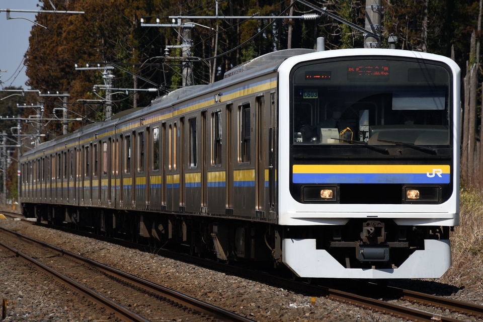 JR東209系マリC603編成<br class="br-sp" />(C603編成)(マリC603)の写真