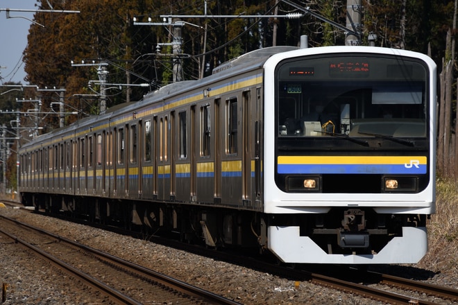幕張車両センター209系マリC603編成を鎌取～誉田間で撮影した写真