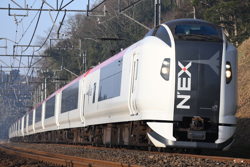 JR東E259系クラNe020編成<br class="br-sp" />(Ne020編成)(Ne020編成)の写真