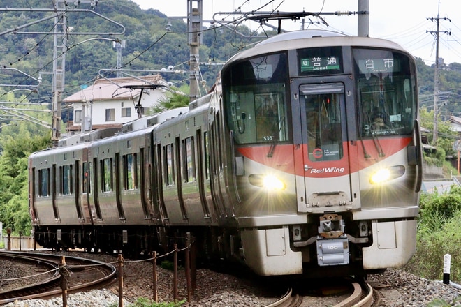 seriさま専用 d96279fe026658a20257cd34fe018a