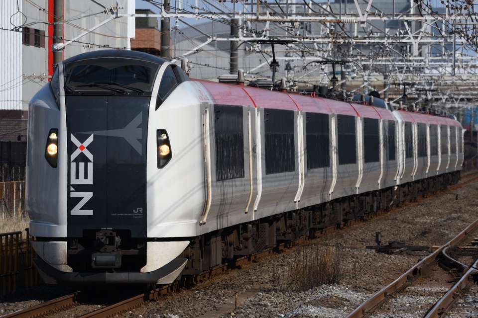 JR東E259系クラNe022編成<br class="br-sp" />(Ne022編成)(Ne022編成)の写真