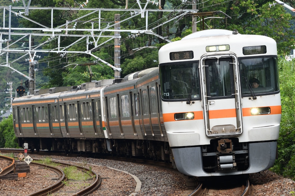 JR海313系シスT13編成<br class="br-sp" />(T13編成)の写真