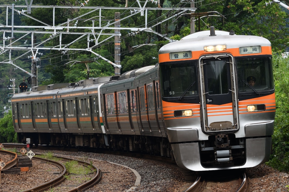 JR海313系シスS3編成<br class="br-sp" />(S3編成)の写真