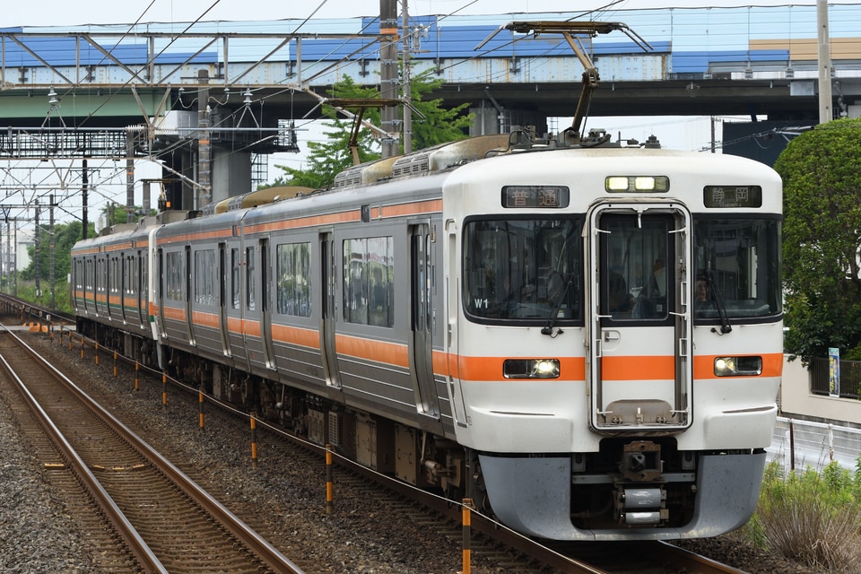 JR海313系シスW1編成<br class="br-sp" />(W1編成)の写真