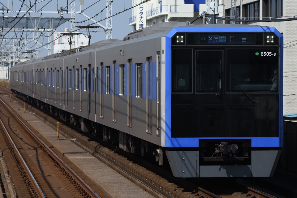 都営6500形6505編成<br class="br-sp" />(6505F)の写真