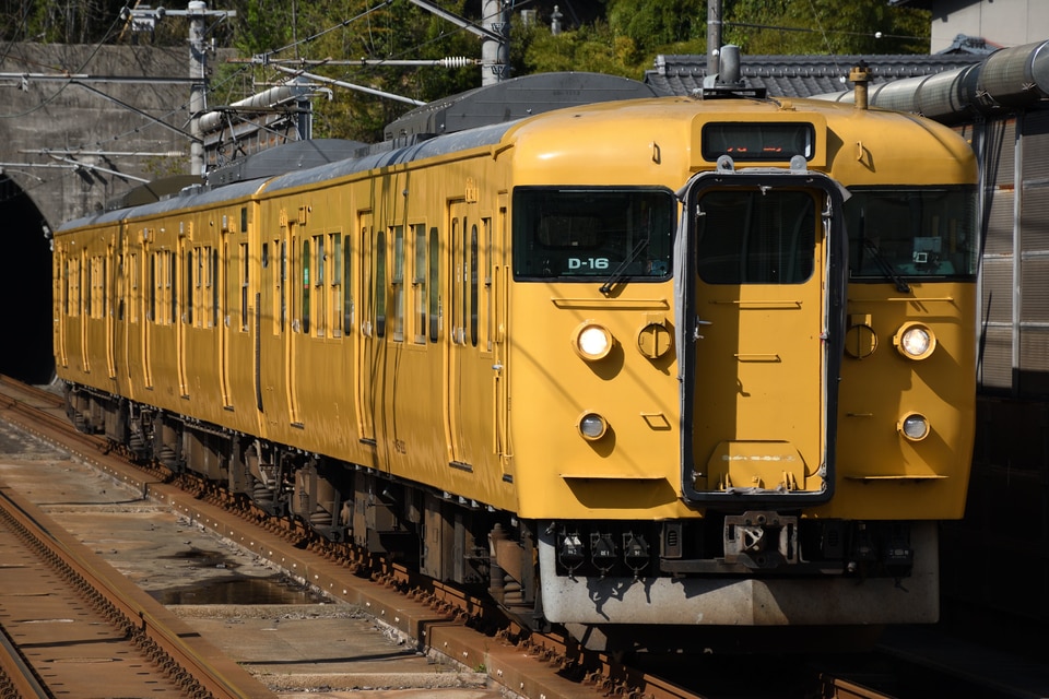 JR西115系D16編成<br class="br-sp" />(D-16編成)(オカD16編成)(オカD-16編成)の写真