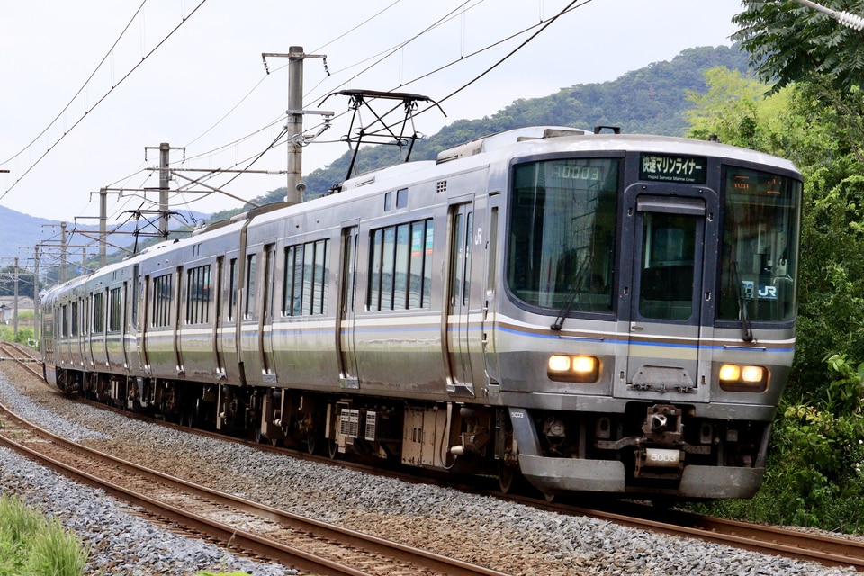 JR西223系P3編成<br class="br-sp" />(オカP3編成)の写真