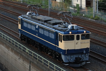 JR東日本 尾久車両センター EF65 1102
