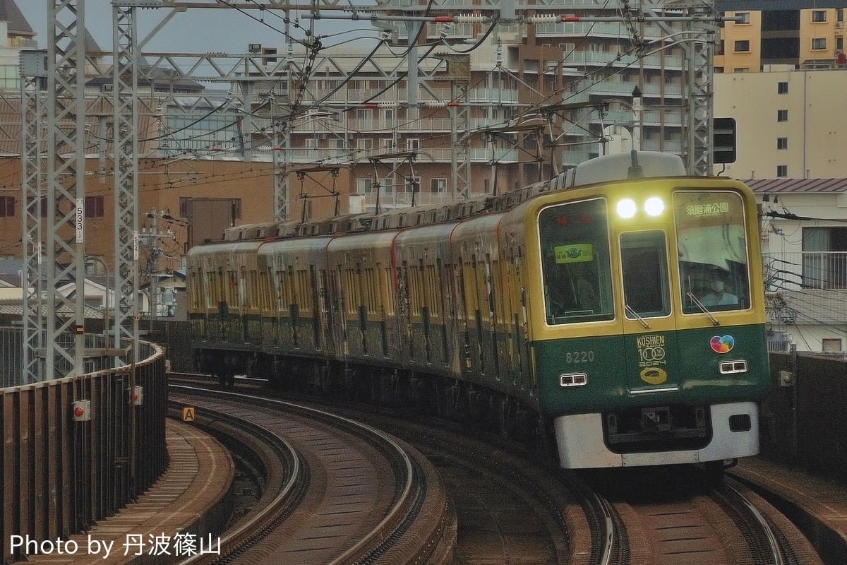 阪神電気鉄道 石屋川車庫 8201形(8000系) 8219F