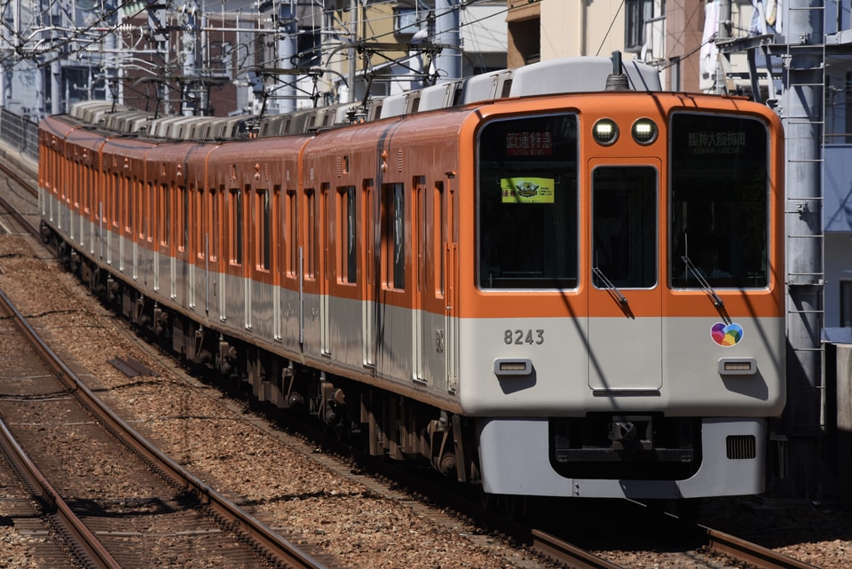 阪神8000系8243F<br class="br-sp" />(8243編成)の写真