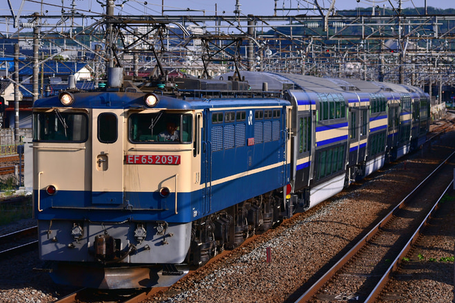 新鶴見機関区EF65EF65-2097を府中本町駅で撮影した写真