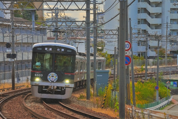 神戸電鉄 鈴蘭台車庫 6500系 6504F