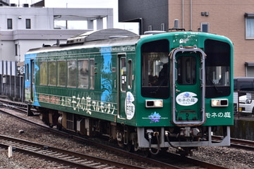 土佐くろしお鉄道 安芸車両基地 9640形 9640-5