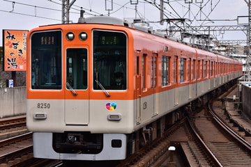 阪神電気鉄道 尼崎車庫 8000系 8249F