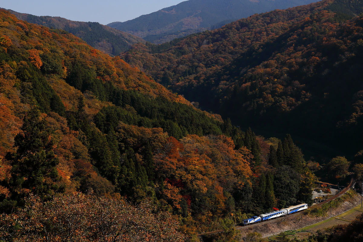 JR西日本 後藤総合車両所本所 DE10 1161