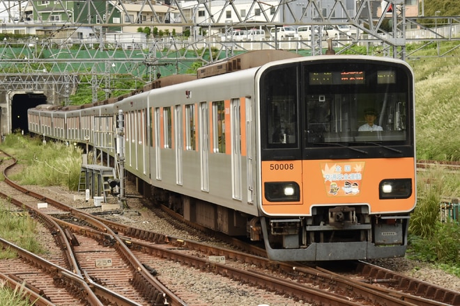 by用