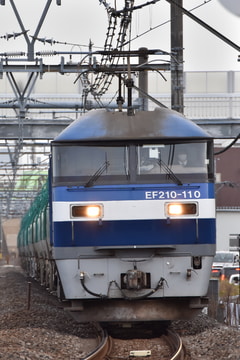JR貨物 新鶴見機関区 EF210 110