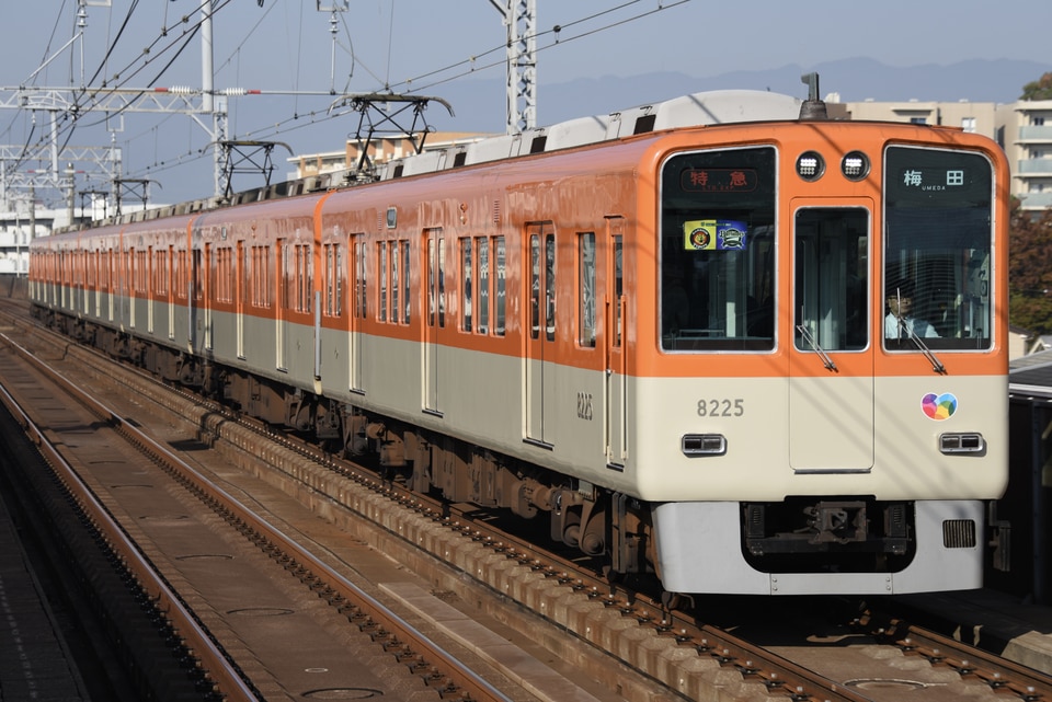 阪神8000系8225F<br class="br-sp" />(8225編成)の写真