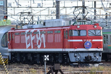 JR東日本 尾久車両センター EF81形 EF81-95