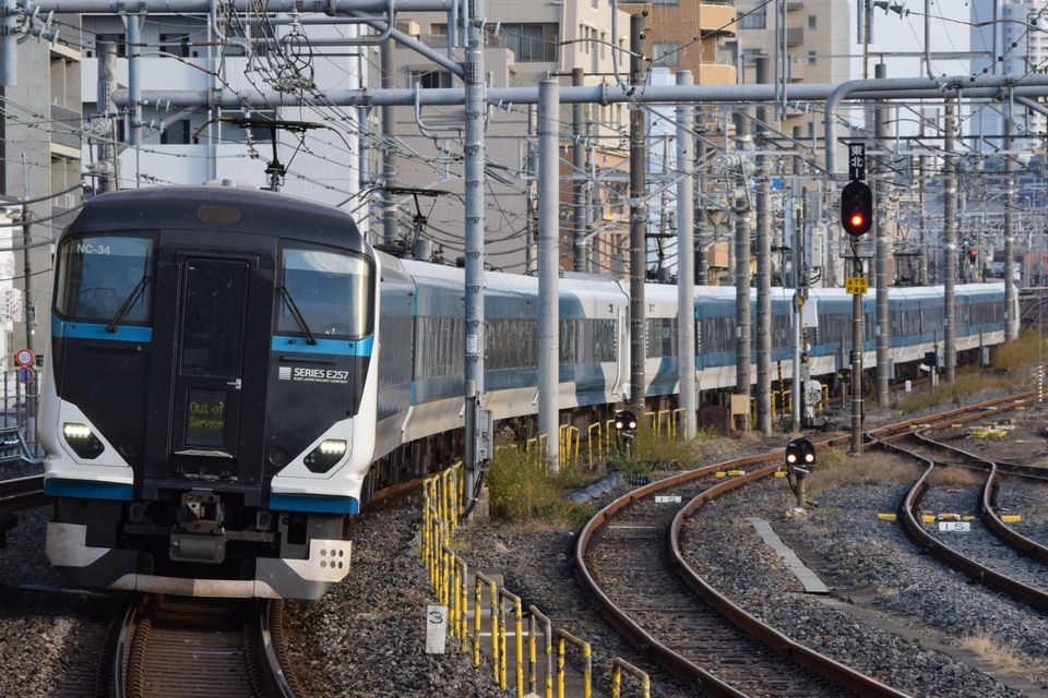 JR東E257系オオNC-34編成<br class="br-sp" />(オオNC-34)(NC34編成)(NC-34編成)の写真