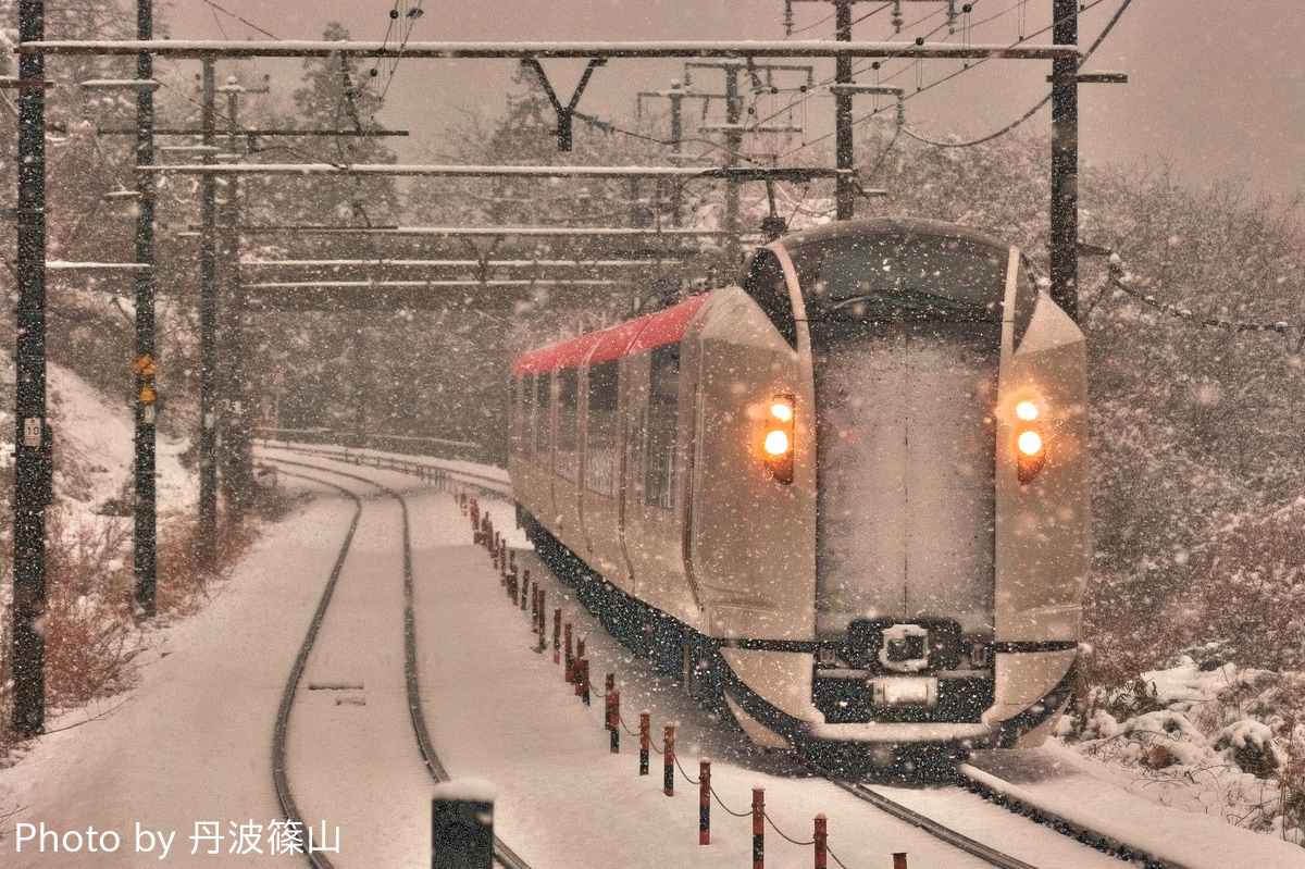 JR東日本  E259系 Ne008