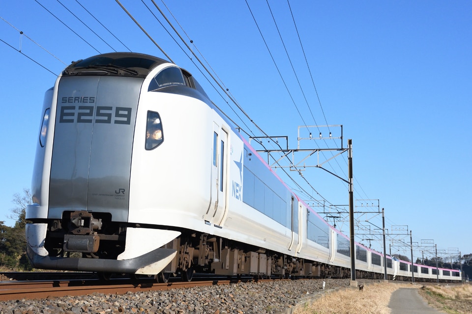 JR東E259系クラNe003編成<br class="br-sp" />(Ne003編成)(Ne003編成)の写真