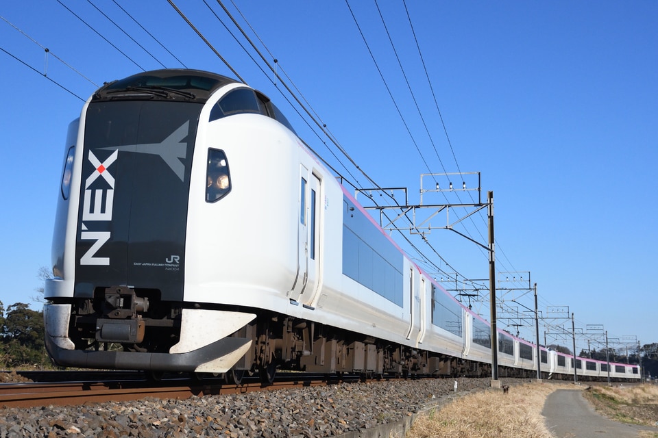 JR東E259系クラNe004編成<br class="br-sp" />(Ne004編成)(Ne004編成)の写真