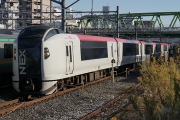 JR東日本  E259系 Ne017編成